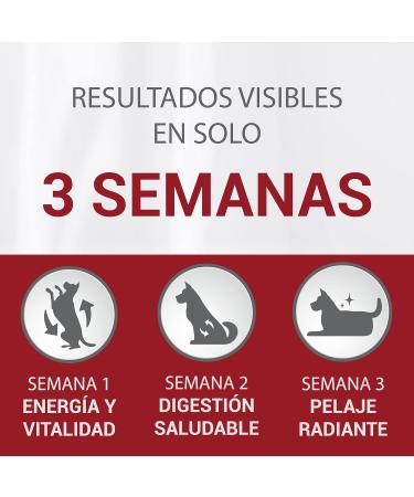 Purina One Junior Dog Chicken and Rice 1500 g - Buy Online on GoSupps.com