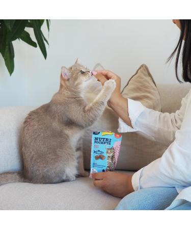 GimCat Nutri Pockets Fish Salmon - Crispy Cat Snack with Functional Ingredients - 60g Bag | Buy Internationally - Buy Online on GoSupps.com