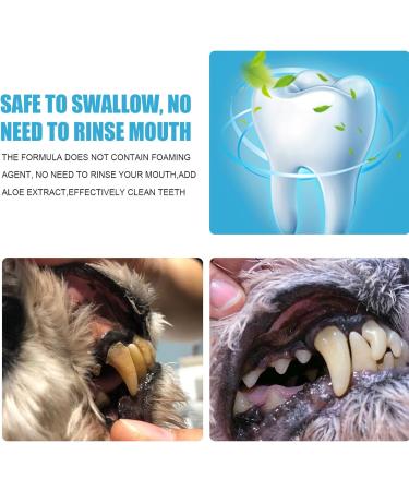 KOAHDE Pets Toothpaste Pets Teeth Cleaning Toothpaste Dogs Dental Care Dogs Toothpaste Toothpaste for Dogs & Cats Pets Oral Hygiene Toothpastes Helps Prevent Bad Breath & Combat Plaque Pets Toothpaste - Buy Online on GoSupps.com