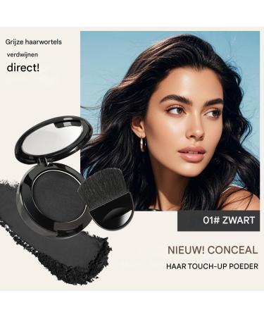 Dayysiuy Hairline PowderLong Lasting Hairline Shadow Powder With Applicator And Mirror Root Coverage Wearable for Women and Grandmas Instantly Thicker Fuller Look 01 - Buy Online on GoSupps.com