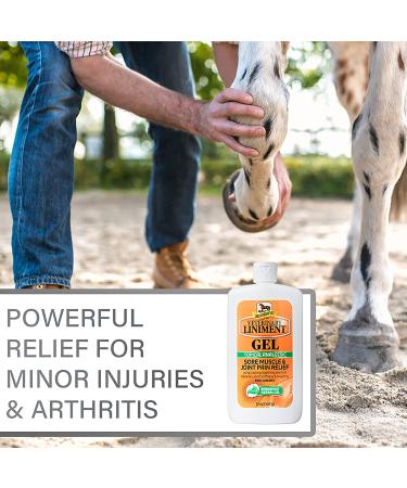 Absorbine Veterinary Liniment Gel 12 oz - Topical Menthol Analgesic for Pain Relief - Buy Online on GoSupps.com