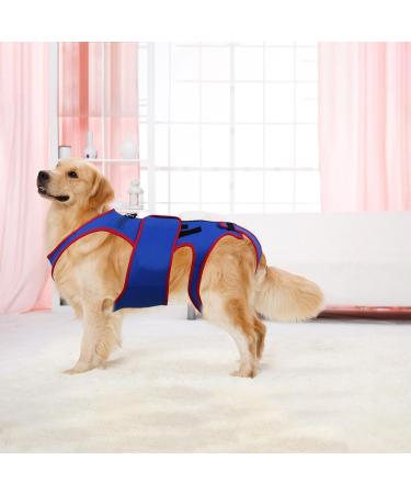 Hip Brace for Dogs Pet Back Bracer for IVDD D-Ring and Reflective Strips Pet Back Bracer for IVDD Dogs Back Prevention Recovery and Rehabilitation M - Buy Online on GoSupps.com