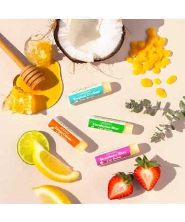Sky Organics Organic Lip Balms with Beeswax - USDA Certified, 4 Assorted Flavors, 4pk - Buy Online on GoSupps.com