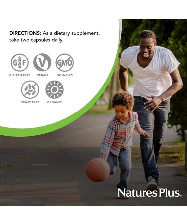 Organic B-Complex Capsules | Nature's Plus Source of Life Garden - 60 Vegan - Buy Online on GoSupps.com