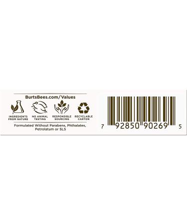 Burt's Bees Lip Balm Stocking Stuffer - 100% Natural SPF 15 Lip Care Holiday Gift, Water Resistant All-Weather Formula - 2 Pack - Buy Online on GoSupps.com