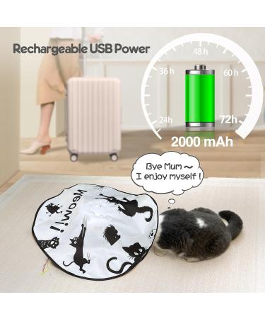 GoldenSun Rechargeable 4in1 Interactive Cat Toy - Hide and Seek Kitten Wand, Whack a Mole, Motion Self Play - Electronic Automatic Cat Toy for Indoor Cats - Exercise and Entertainment - Black Meow - Buy Online on GoSupps.com