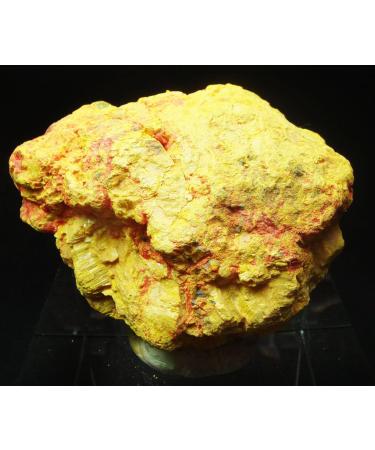 313g Golden Yellow Orpiment with Red Realgar Crystal Specimen JZIGTDEM - Buy Online on GoSupps.com