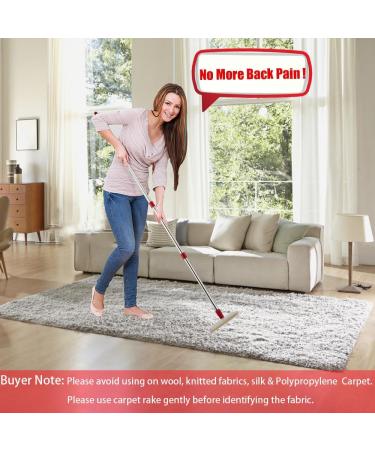 Adjustable Animal Hair Remover Carpet Rake Reusable Fur Broom for Couch Car and Furniture - Efficient Dog & Cat Hair Removal Tool - Buy Online on GoSupps.com