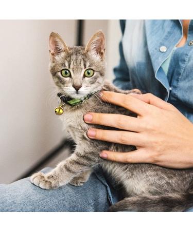 Molain 24pcs Cat Bells with Keyrings- Dog Collar Bells  Training Jingle Bell Collar Pendant Pet Accessories Festival Party DIY Small Bells Mixed Color - Buy Online on GoSupps.com