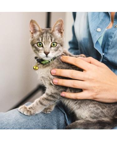 Molain 24-Piece Cat Bells & Dog Collar Bells - Gold Training Accessories for Pets | Perfect for Festivals & DIY Projects - Buy Online on GoSupps.com