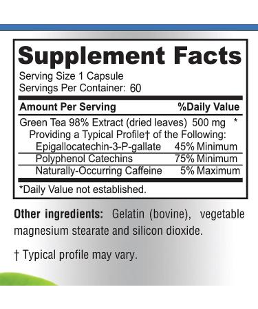 YUMMYVITE Green Tea Extract 98% | 3X Strength | 75% Polyphenols | 45% EGCG | Super Antioxidant - 60 Capsules - Buy Online on GoSupps.com