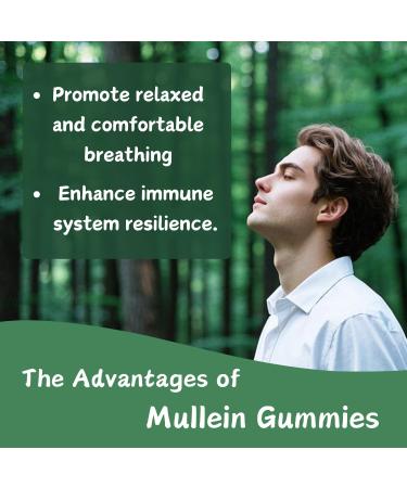 Putaojun 1 Pack Organic Mullein Gummies for Lungs, 2000MG Mullein Leaf Extract Supplement | Quercetin, Bromelain for Respiratory & Immune Support | Vegan, Sugr-Free, Mango Flavor | 60 Count - Buy Online on GoSupps.com