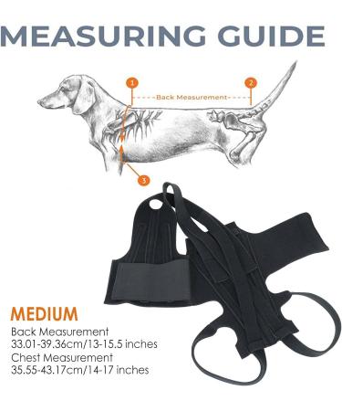 Breathable Back Brace for Dogs - Breathable Pet Back Bracer for IVDD Pet Back Bracer for IVDD Back Protector Znet-au Black M - Buy Online on GoSupps.com