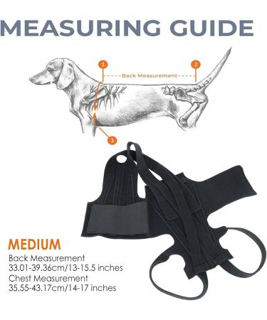 Breathable Back Brace for Dogs - Pets Back Protector Soft Back Bracers Pet Back Bracer for IVDD Back Protector Black Medium - Buy Online on GoSupps.com