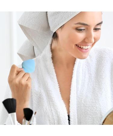 Makeup Blender Sponge - Gyro Shape Beauty Foundation Blending Sponge Professional Streak Application Blender Sponge For Foundation Liquid Cream And Powder Gyro Beauty Egg 28*40*60 Blue - Buy Online on GoSupps.com
