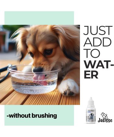 Cats and Dogs Water Additive for Oral and Dental Care: Eliminate Bad Dog Breath and Cat Bad Breath - Dog Breath Freshener - Fights Tartar & Plaque - Just Add to Water! (50ml (Pack of 1)) - Buy Online on GoSupps.com