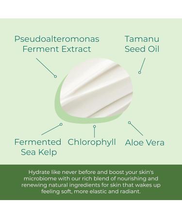 Kelp Tamanu Oil Night Cream | Hydrating Anti-Aging Face Moisturizer for All Skin Types - 1 Oz - Buy Online on GoSupps.com