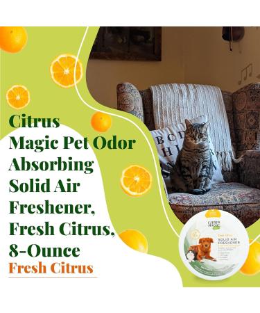 Citrus Magic Pet Odor Absorbing Solid Air Freshener for Home Air Purifier Fresh Citrus Must have Pet Supplies 8 Oz (Pack of 3) - Buy Online on GoSupps.com