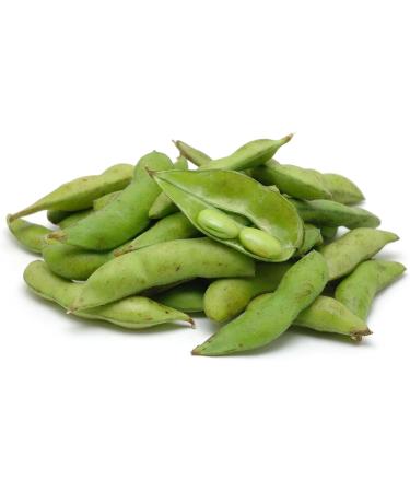 High-Quality Soy Protein Isolate 92% - 3 Bags x 1500g (4.5KG) | Premium Native Soy Protein for Global Shipping - Buy Online on GoSupps.com