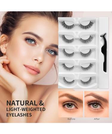SAOTAENG Reusable Self Adhesive Natural Look Eyelashes - No Eyeliner or Glue Needed - Easy to Apply - 5 Pairs - Buy Online on GoSupps.com