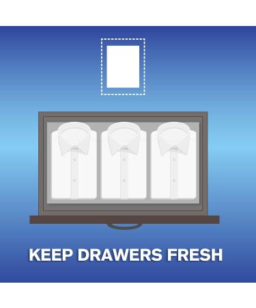 ARM & HAMMER Fabric Softener Sheets - Perfume & Dye Free 100 Ct | Premium International Shipping - Buy Online on GoSupps.com