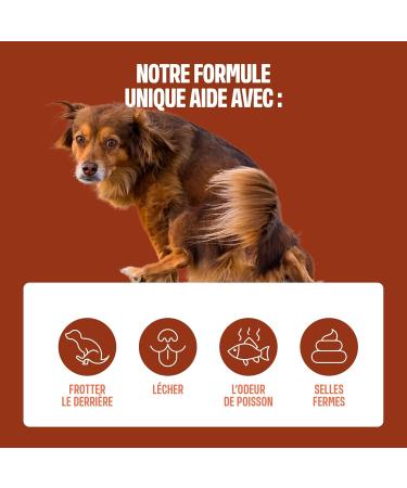 ivvi Anal Gland - Snacks to Support Dogs' Anal Gland Health. Contains Pumpkin Psyllium Flax Dandelion Nettle and Prebiotics. 60 Snacks (270g) with Peanut Butter Base. - Buy Online on GoSupps.com