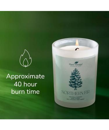 Buy Plant Therapy Northern Fir Candle - 8 oz Hand-Poured Coconut & Soy Wax Refreshing Forest Scent Frosted White Jar with Wooden Lid - International Shipping Available - Buy Online on GoSupps.com