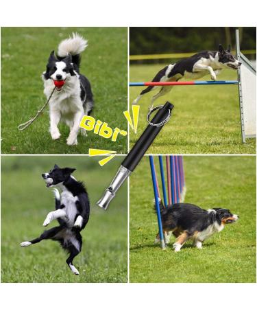 Adjustable Dog Pipe Whistle - High Frequency & Loud | Effective Dog Training | 2 Pack - International Shipping Available - Buy Online on GoSupps.com