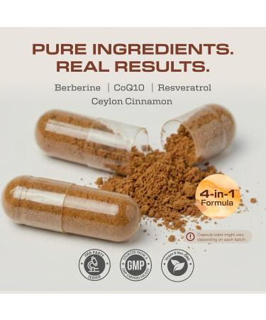 Earth Elixir 4-in-1 Berberine Supplement Organic Berberine with Ceylon Cinnamon CoQ10 Ubiquinol and Resveratrol Powder Metabolic & Cellular Energy Support 180 Vegan Capsules - Buy Online on GoSupps.com