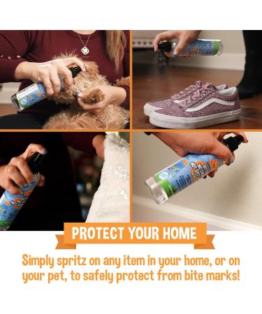 Bodhi Dog Bitter 2-in-1 Chewing & Hotspot Spray - Natural Anti-Chewing Solution Safe for Skin & Surfaces Made in USA - 8 oz - Buy Online on GoSupps.com