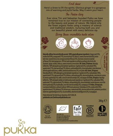 Pukka Herbs | Winter Warmer Organic Herbal Tea | Limited Edition | Ginger Cinnamon Clove Orange | Perfect For Festive Spirit | 4 packs | 80 Sachets - Buy Online on GoSupps.com