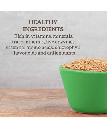 Hallelujah Diet Organic BarleyMax - Barley Grass Juice and Alfalfa Juice Powder  Vegan Formula  Plant-Based Dietary Supplement  Health Food Products  Original  120 Servings  8.5 Ounce Bottle - Buy Online on GoSupps.com