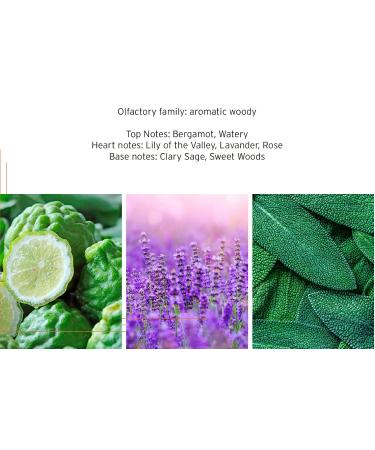 HEAD Fire Mens Fragrance Cologne Eau De Toilette EDT 100 milliliters / 3.4 ounces Lavender 3.4 Fl Oz (Pack of 1) - Buy Online on GoSupps.com