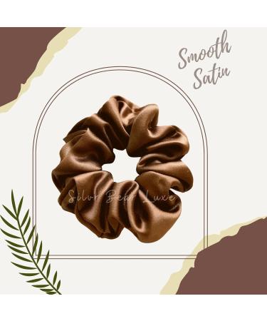 Silvr Bear Luxury Satin Scrunchies SAME 10 COLORS AS PIC Anti-Hair-Breakage Hair Ties Scrunchies Set for Girls Women Best gift for Sister Friend Mom (Earthy Shades) - Buy Online on GoSupps.com