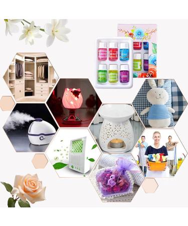 Huiles d'Aromath rapie | Huile e Portative - Soluble L'Eau Pour Humidificateur 6 Flacons - Buy Online on GoSupps.com