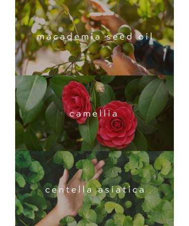 Vegan Soothing & Hydrating Bebe Baby Balm Stick - EWG Green | International Shipping Available - Buy Online on GoSupps.com