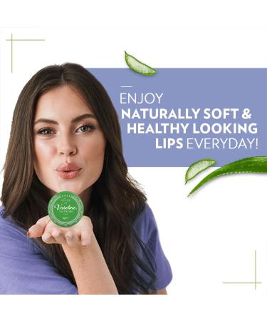 Buy Vaseline Aloe Vera 20g - Pack of 12 (12 X 20 GR) | Moisturizing & Skin Care | Fast International Shipping - Buy Online on GoSupps.com