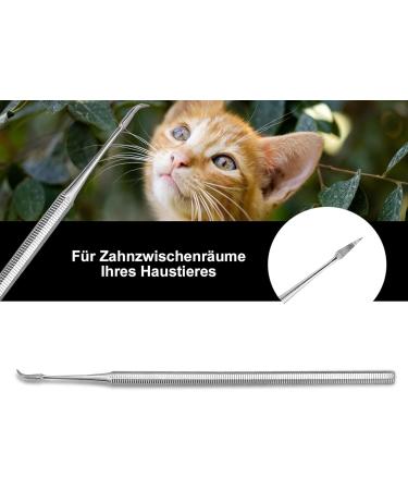 Dog & Cat Tartar Remover - Stainless Steel Dental Care Tool | Intermediate Room Cleaner for Pets - Buy Online on GoSupps.com