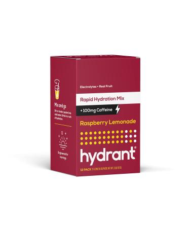 Hydrant Rapid Hydration Drink Mix Raspberry Lemonade 12 Pack 0.28 oz (7.8 g) Each