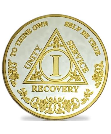 1 Year Sobriety Coin | Alcoholics Anonymous Medallion One Year AA Chip Recovery Token