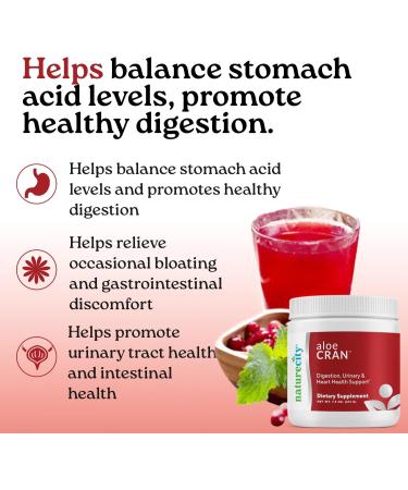 NatureCity AloeCran Sugar Free Drink Mix Supplement | Pure Aloe Vera Cranberry Powder & Dietary Fiber| Unsweetened Cranberry Concentrate | Supports Digestive Urinary & Metabolic Health | 60 Servings 15.03 Ounce (Pack of 1) - Buy Online on GoSupps.com