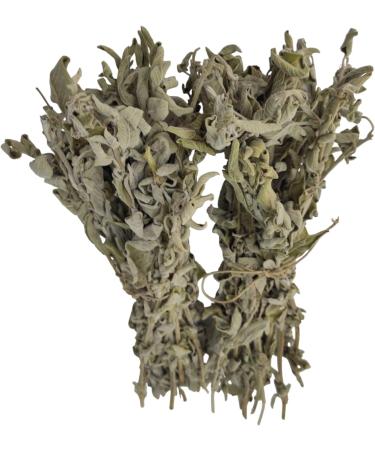 Wild Greek Sage Herbal Tea Whole Bunch Premium Quality 220g - 1.95Kg Salvia Triloba (950 grams) - Buy Online on GoSupps.com