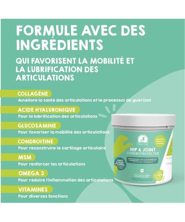 MAIKAI Anti-Osteoarthritis Tablets for Large Dogs - 120 tablets - Food supplement concentrated in Glucosamine Chondroitin MSM Omega 3 and Hyaluronic Acid - Strengthens Joints - Buy Online on GoSupps.com