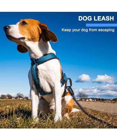 BEIFENG Heavy Duty Locking Carabiner Clips - 4 Pack, Black - for Camping, Hiking, Outdoor, Gym - Small Carabiners for Dog Leash & Harness - Auto Locking - Buy Online on GoSupps.com