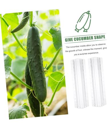 Milisten 15 Pcs Vegetable Shaping Mold Watermelon Forming Machine - Buy Online on GoSupps.com