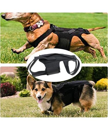 Dog Back Bandage for Arthritis IVDD & Surgical Recovery | Support for Herniated Discs & Spine Health - Buy Online on GoSupps.com