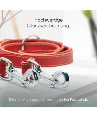 Freudiertier Spicy Red Leather Dog Leash - Adjustable Stylish & Robust | Amstelpark Collection 20mm Wide Made in Holland - Buy Online on GoSupps.com