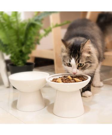 Extra Wide Raised Cat Bowls - Anti-Vomiting & Stress-Free Feeding Solution | Set of 2 Ceramic Bowls in White - Buy Online on GoSupps.com