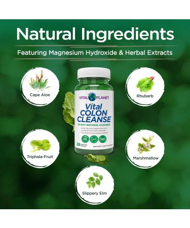 Vital Planet Colon Cleanse - 14-Day Detox & Digestive Health Support | Magnesium Slippery Elm & Aloe | 28 Capsules - International Shipping Available - Buy Online on GoSupps.com
