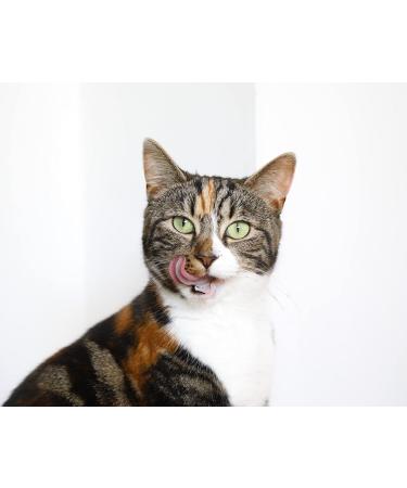 Cats Chicken Gravy Topper with Added Taurine & B Vitamins | High Protein | Supports Organ Health, Coat & Immunity | Boosts Hydration | Hypo-allergenic & Grain-Free - Buy Online on GoSupps.com